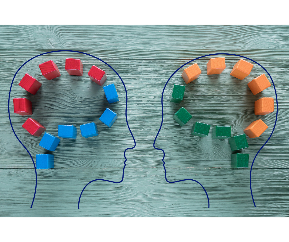 Two outlines of human heads are drawn on a teal, wooden background. Their brains are depicted as a series of wooden cubes. The human on the left has red and blue cubes, the human on the right has orange and green cubes to illustrate neurodiversity