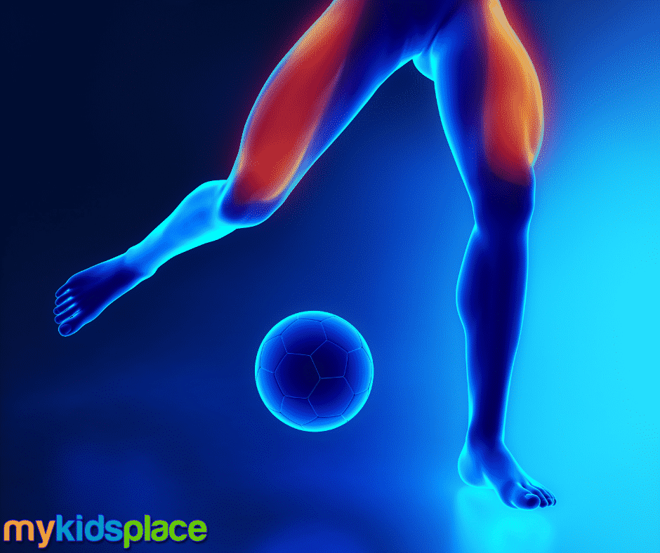 A blue, computerized image of human legs kicking a soccer ball with the quadriceps muscles highlighted in red-orange to depict the large muscle groups used for this gross motor activity.